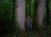 DSCN7496.JPG