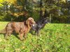 20121013_160339.jpg