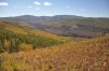 DSC_1503.JPG