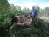 сурчина.JPG
