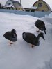 IMG-20210303-WA0028.jpg