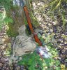 IMG_20210304_201318.jpg
