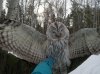 IMG_20210320_104004.jpg
