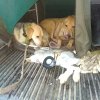 IMG_20201012_170615.jpg