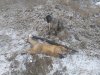 20201104_112737.jpg