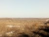IMG_20210420_075827.jpg
