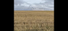 B44782B6-BCBF-40D5-8D54-6FDB1EC5CD23.png
