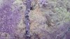 SAVE_20210810_113324.jpg