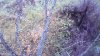 IMAG0057.jpg