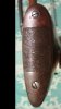 IMG_20200628_175659.jpg