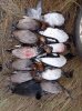 IMG_20211002_170625.jpg