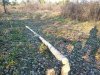 IMG_20211009_170811.jpg
