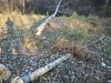 IMG_20211009_170814.jpg