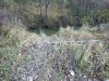 IMG_20211009_170847.jpg