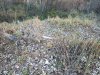 IMG_20211009_170821.jpg