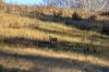 096E2441_edited.jpg