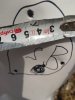 IMG_20211021_152618.jpg
