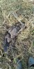 IMG-20211022-WA0001.jpeg
