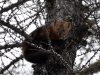 DSC_1734.JPG