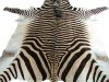 hartmanns_zebra_skin.jpg