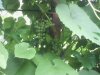 IMG_20140801_161242.jpg
