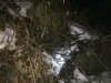 IMG_4181.JPG