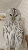 IMG-20210122-WA0004.jpeg