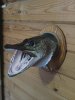 IMG-20211120-WA0003.jpg
