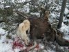 IMG_20201212_130943.jpg