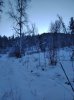 IMG_20211211_115746.jpg