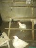 IMG_20211226_160731.jpg