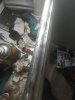 IMG_20220102_122011.jpg