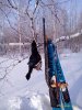 P_20210131_115637_1_p.jpg