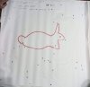 IMG-20220104-WA0033.jpg