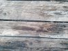 IMG-20220104-WA0032.jpg