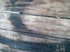 IMG-20220104-WA0031.jpg