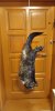 IMG-20220119-WA0006.jpeg