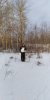 IMG-20220119-WA0003.jpeg