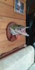 IMG-20220120-WA0002.jpg
