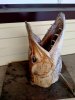 IMG-20220120-WA0000.jpg