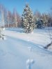 IMG_20220129_150414.jpg