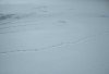 IMG_20220206_123510.jpg