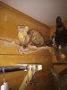 IMG_20220330_182833.jpg