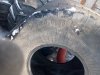 IMG_20220323_165031_552.jpg