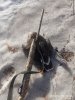 IMG_20220405_101321.jpg