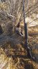 IMG-20220410-WA0000.jpeg