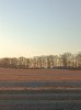 IMG_20220410_071803.jpg