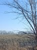 IMG_20220410_090553.jpg