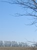 IMG_20220410_090558.jpg