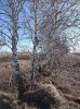 IMG_20220410_095616.jpg